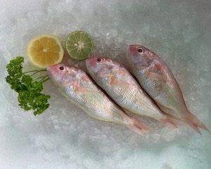 Golden Threadfin Bream / Kerisi Emas 红立 PER KG (SEASONAL)
